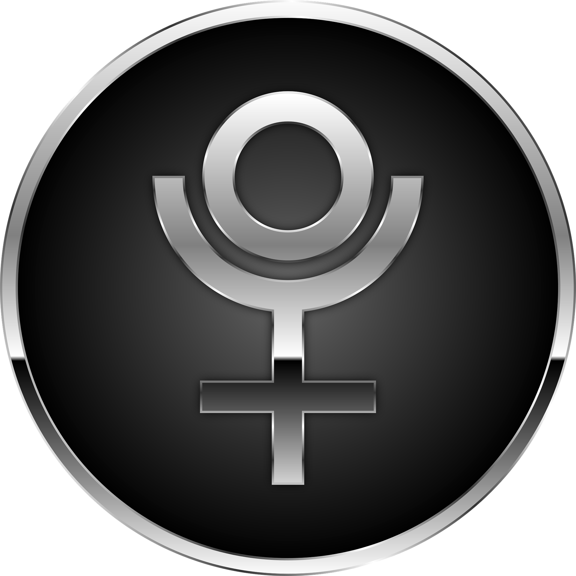 パラダイムシフトの冥王星 Rui Official